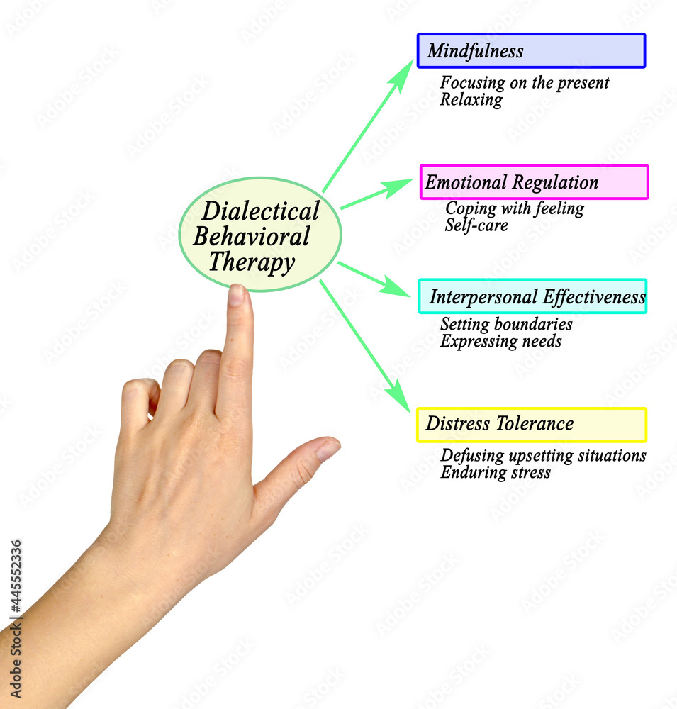 Components of Dialectical Behavioral Therapy Components of Dialectical Behavioral Therapy
