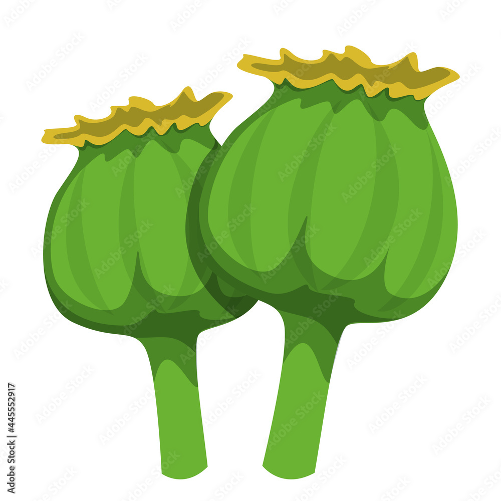 Poppy plant head vector isolated. Highly addictive drug opium concept. Narcotic flower, illegal drug. - obrazy, fototapety, plakaty 