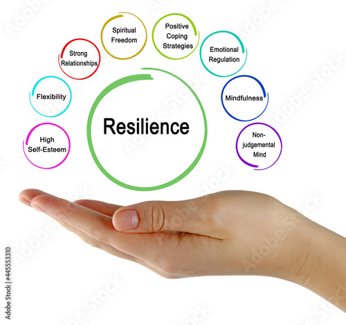 Presenting Eight drivers of Resilience