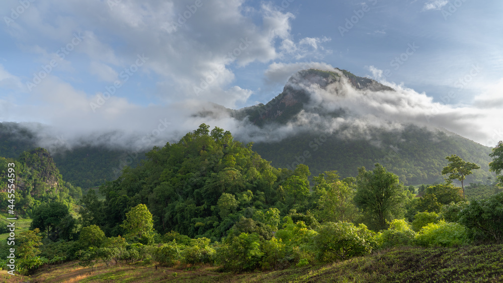 Obraz premium Scenic early morning rural landscape with mountain in clouds near Chiang Dao, Chiang Mai, Thailand