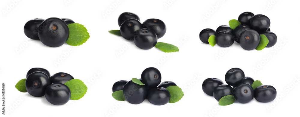 Set with acai berries on white background. Banner design Set with acai berries on white background. Banner design