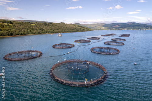 Fish Farm Nets used in the Aquaculture Industry for Salmon, Cod and Shellfish 