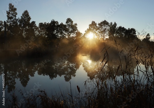 Golden fog hanging over suburban wetlands lake at sunrise