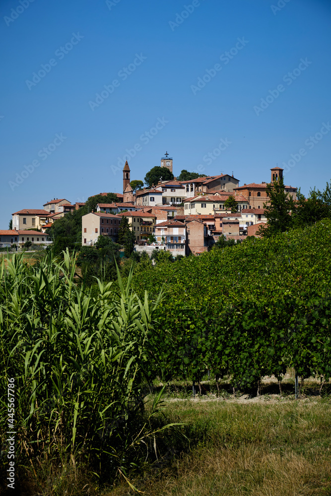 Foto scattata nella campagna attorno a Cuccaro Monferrato.