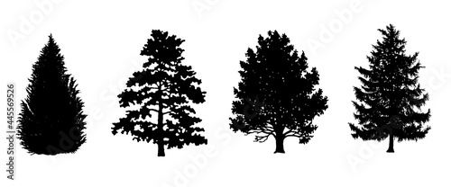 Tree Set. Pine Evergreen Deciduous Trees Silhouette. Vector Black Illustration. Forest and Park Elements. Winter Forest Set. Isolated on White Background. Nature collection.