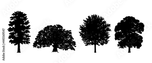 Tree Set. Different Tree Silhouette. Oak  Deciduous. Isolated on White Background. Vector Illustration. Forest and Park Elements. Deciduous trees. Nature collection. Black Illustration.