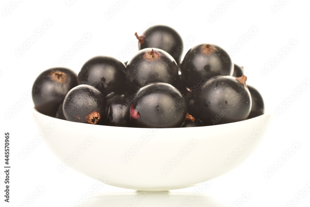 Several organic black currant berries with white
ceramic saucer, close-up, isolated on white. Several organic black currant berries with white
ceramic saucer, close-up, isolated on white.
