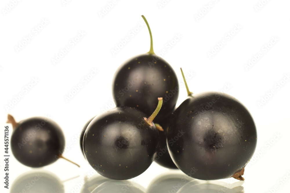 Several berries of organic black currant, close-up, isolated on white. Several berries of organic black currant, close-up, isolated on white.
