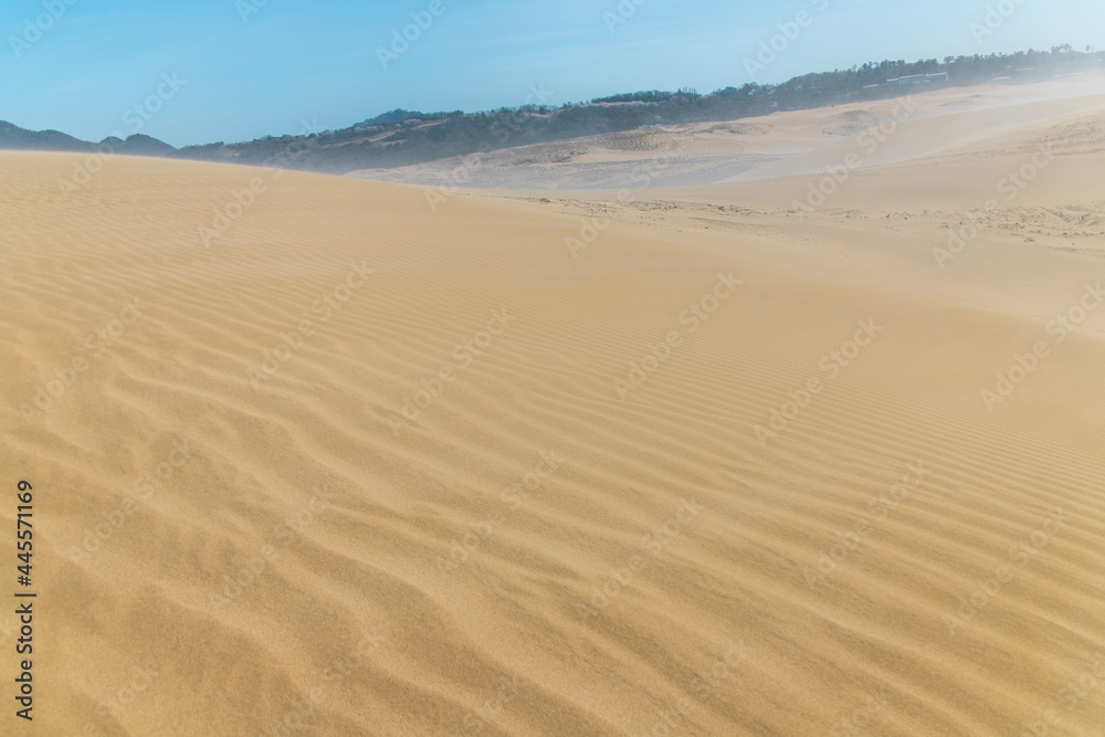 Beautiful landscape Tottori Sand Dunes (Tottori Sakyu), located near the city of Tottori in Tottori Prefecture, in sunny day with blue sky. They form the large dune system over 2.4 km in Sanin, Japan