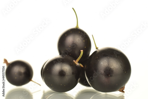 Several berries of organic black currant, close-up, isolated on white.