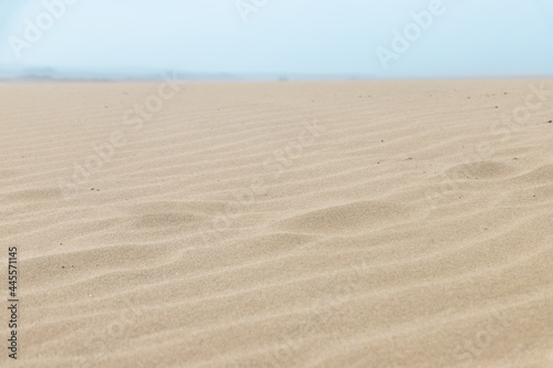 Closeup Ripple marks on droughty Sand Dunes in Desert Area (sand waves). In geology, ripple marks are sedimentary structures and indicate agitation by water (current or waves) or, wind