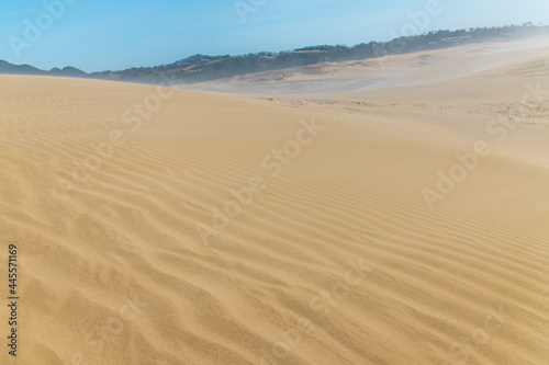 Beautiful landscape Tottori Sand Dunes  Tottori Sakyu   located near the city of Tottori in Tottori Prefecture  in sunny day with blue sky. They form the large dune system over 2.4 km in Sanin  Japan