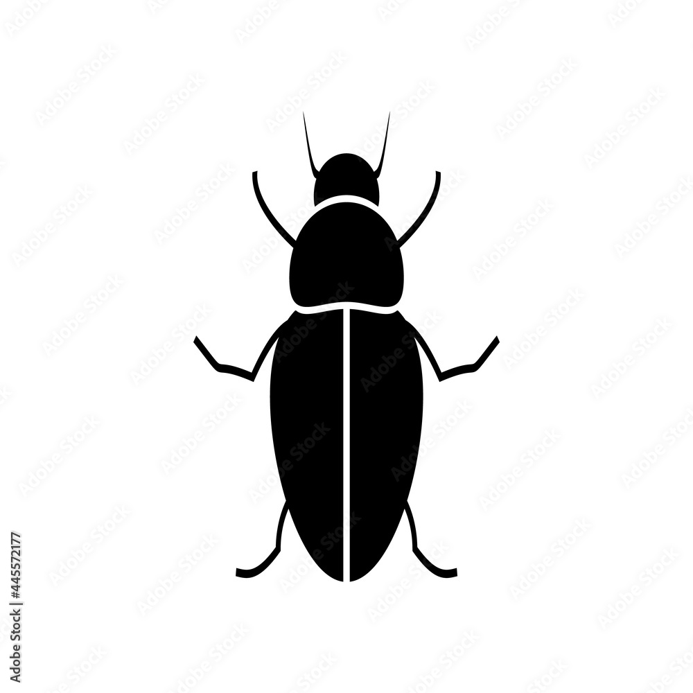 Silhouette of a beetle of the Coleoptera family on a white background. Silhouette of a beetle of the Coleoptera family on a white background.