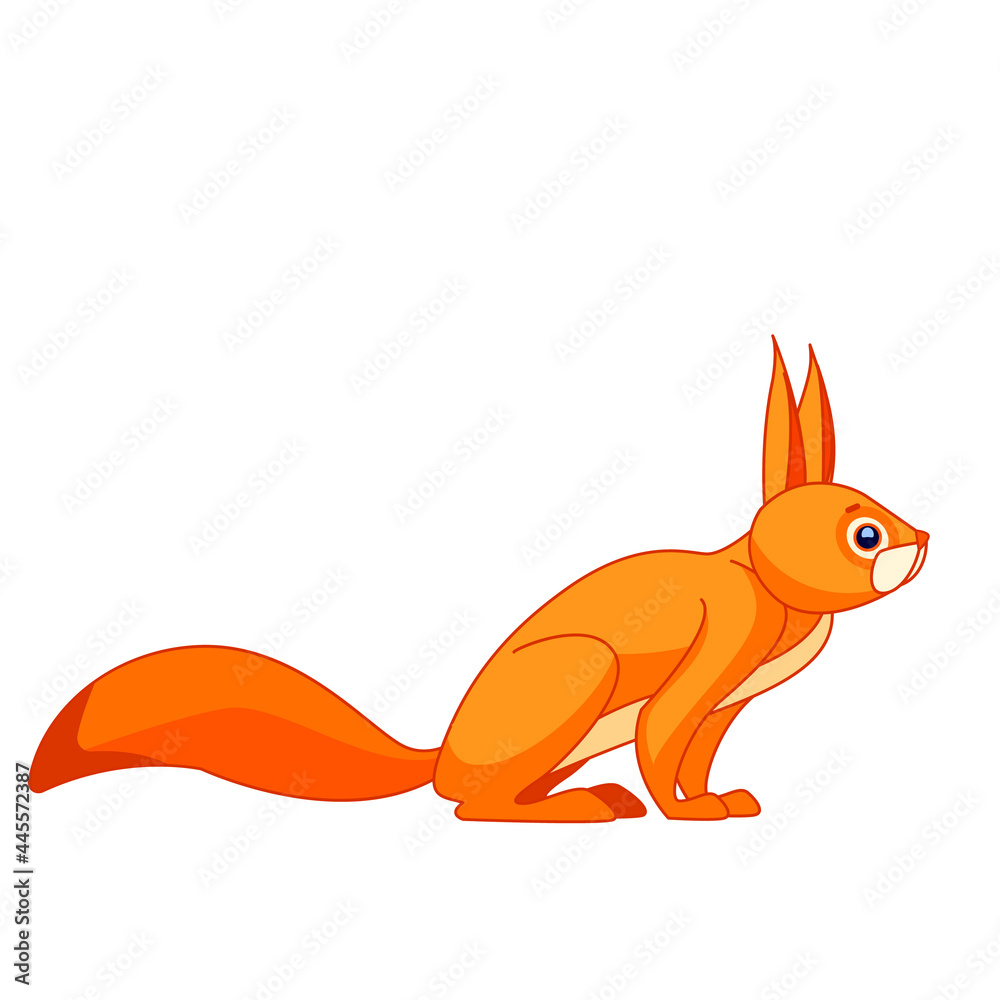 Obraz premium Squirrel watches curiously. Cartoon character of an rodent mammal animal. A wild forest creature with orange fur. Side view. Vector flat illustration isolated on a white background