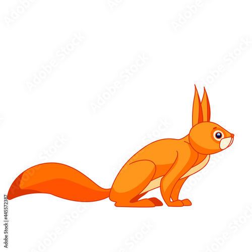 Squirrel watches curiously. Cartoon character of an rodent mammal animal. A wild forest creature with orange fur. Side view. Vector flat illustration isolated on a white background