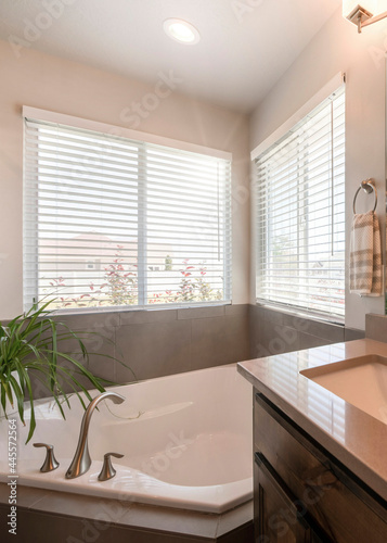 Vertical Bathroom with drop in tub and long vanity sink decorated with plants and candles on top