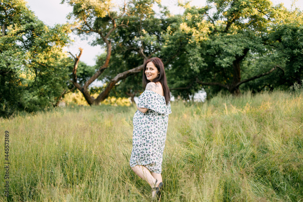 Side view of beautiful pregnant woman wearing stylish summer dress spending leisure time on nature. Smiling female touching tummy and enjoying happy moments. Side view of beautiful pregnant woman wearing stylish summer dress spending leisure time on nature. Smiling female touching tummy and enjoying happy moments.