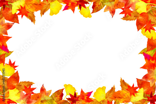 A frame made of autumn leaves