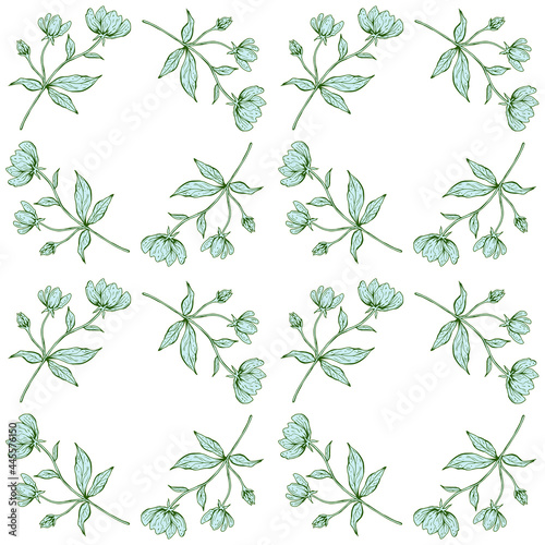 Floral seamless pattern. Beautiful botanical repeat texture with branches  leaves and flowers for print  fabric  textile  wallpaper in soft colors. Hand drawn ink illustration in line art style.