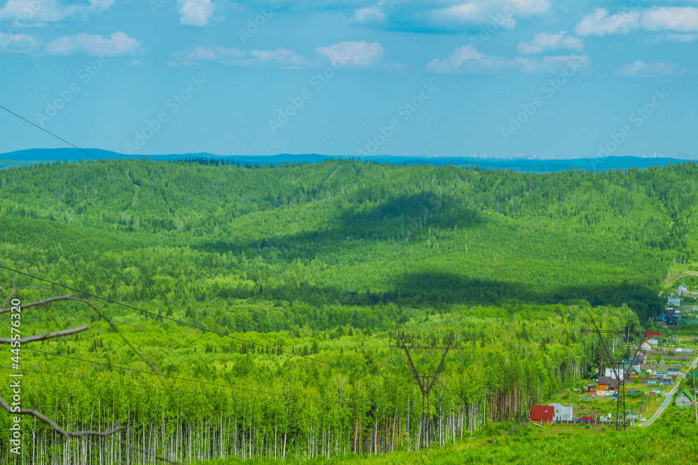 landscape with forest and sky