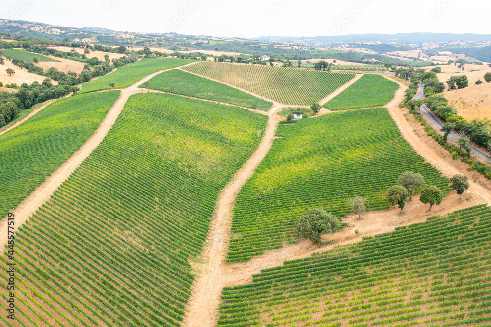 Vista aerea dei vigneti toscani in Italia