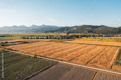 Quadro su tela campi di grano in Toscana