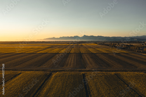 campi di grano in Toscana © Polonio Video