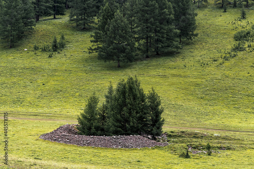 The Pazyryk burial mounds are ancient burials. Ulagan district of the Altai Republic.