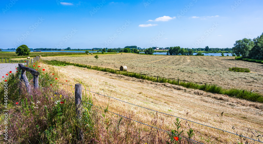 Blick über gemähte Rheinwiesen mit gepressten Strohballen
