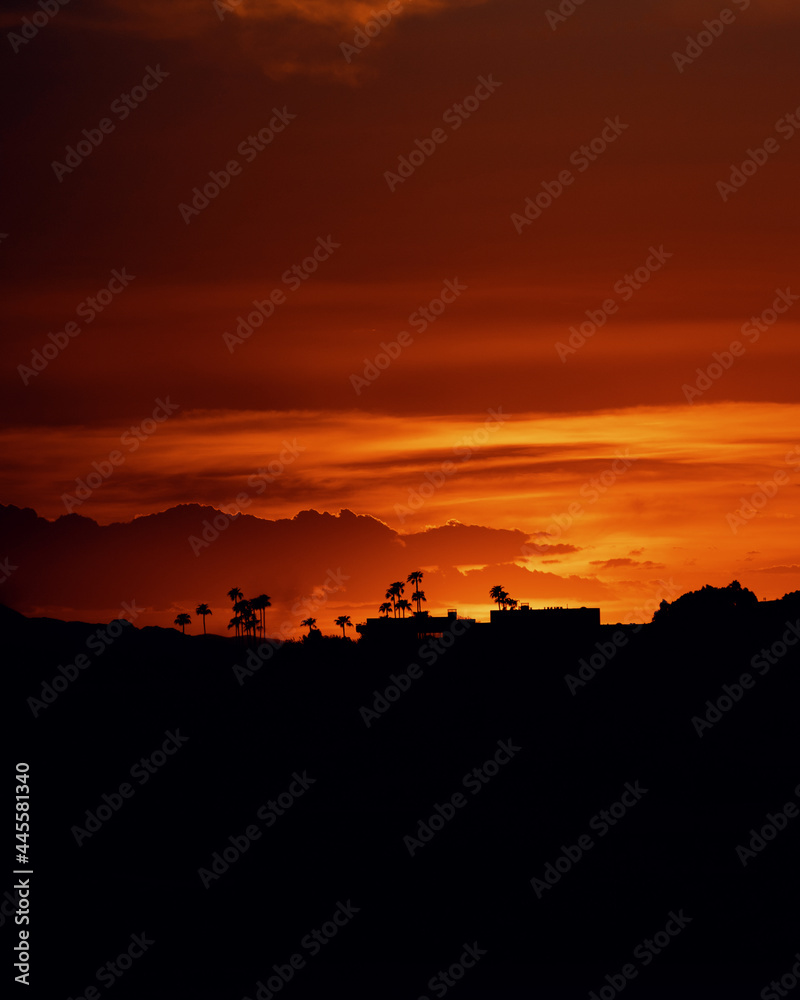 beautiful orange sunset with multiple silhouettes of palm trees in california
