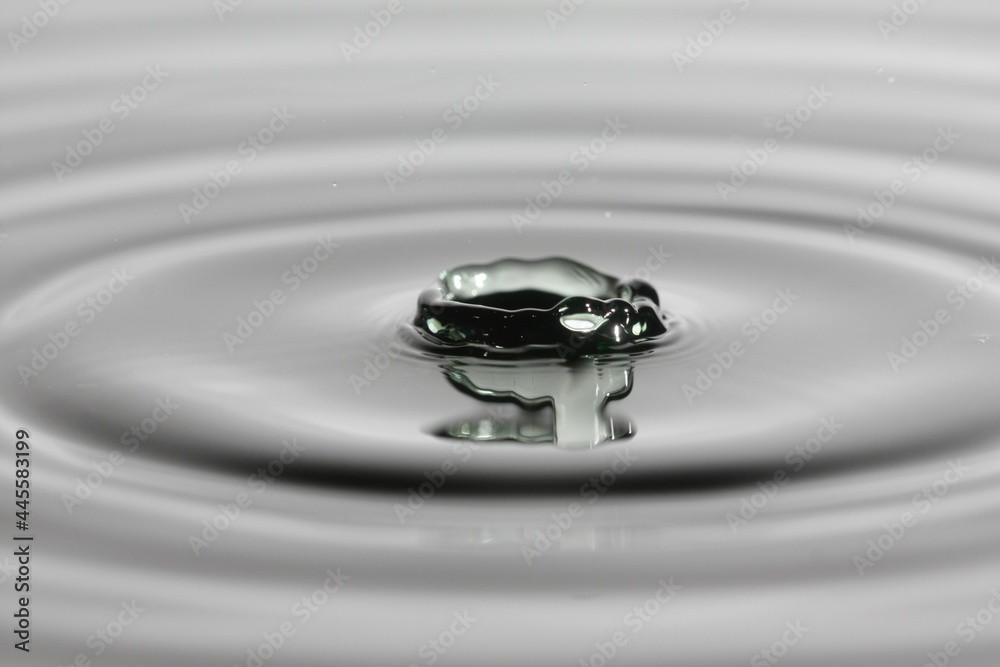 Water droplet in macro photography