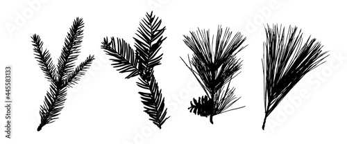 Winter Tree Set. New Year Branches. Christmas Decoration. Сoniferous Branches. Spruce, Coniferous, Pine Silhouette. Isolated on White Background. Vector Black Illustration. Holiday Elements. 
