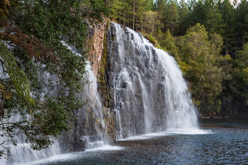 Forest Falls of the Mac Mac River near Sabie  Mpumalanga  South Africa