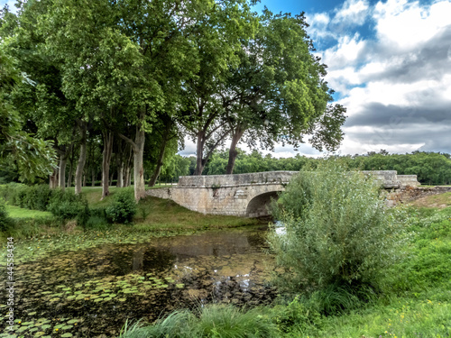 Pont en pierre au dessus d'une rivière avec des nénuphars et près d'un bois