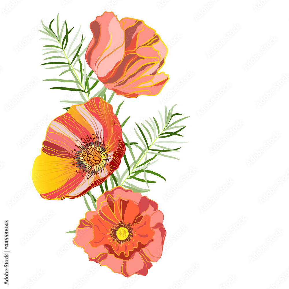 An illustration with a place for the inscription, beautiful exquisite poppies and branches of curly asparagus. Vector