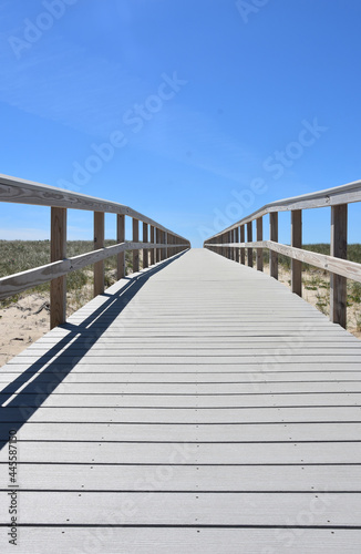 Perspective of a Wooden Boardwalk Over Beach Dunes © dejavudesigns