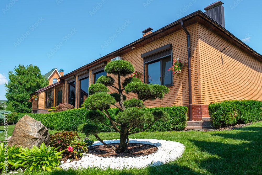Backyard garden with nicely trimmed bonsai, bushes and stones in front of the European style villa. Landscape design. High quality photo