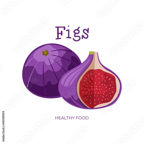 Fig. Juicy, delicious and healthy fig berries. Vector isolated on a white background.