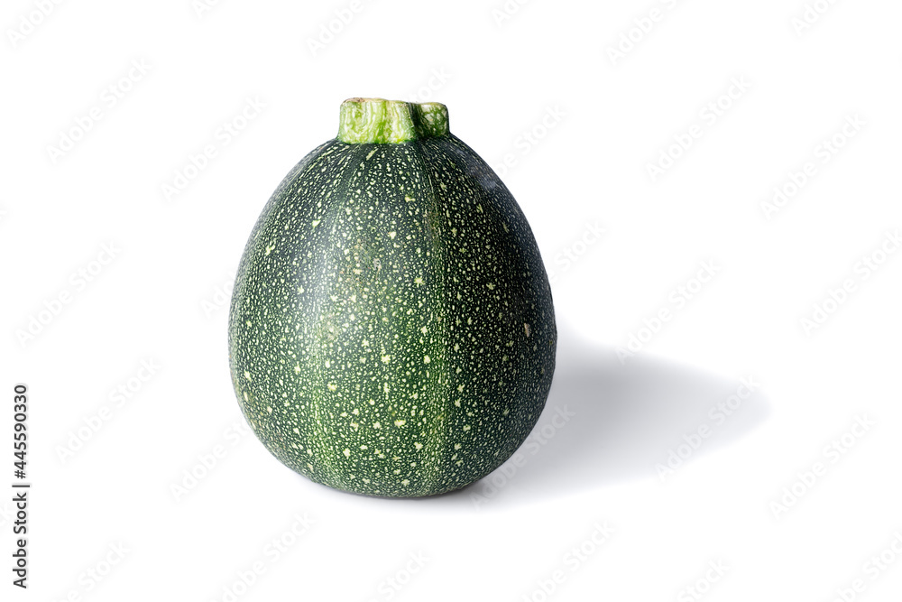 One realistic looking globe or eight ball squash or zucchini or round courgette - cucurbita pepo - isolated white background One realistic looking globe or eight ball squash or zucchini or round courgette - cucurbita pepo - isolated white background