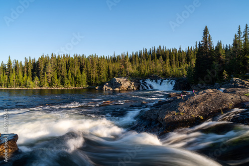 idyllic river and pine forest landscape in northern Sweden photo