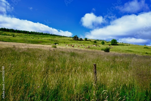 CAMPAGNE DU  meygal HAUTE LOIRE FRANCE