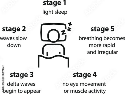 Cycles sleep