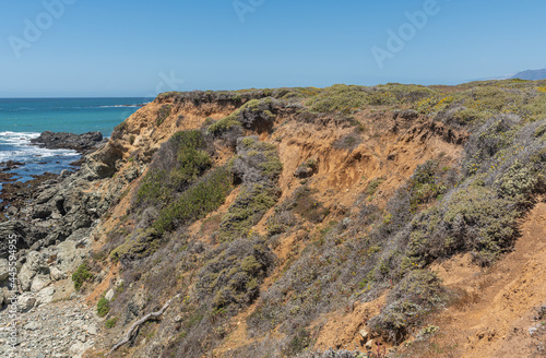 San Simeon, CA, USA - June 8, 2021: Pacific Ocean coastline north of town. Closeup of brown rocky cliff descending in water partially covered by green weeds under blue sky.