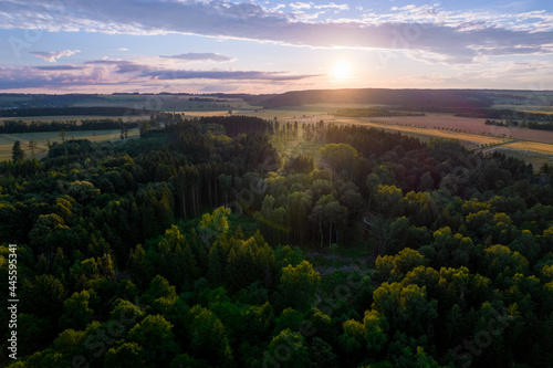 view of the landscape with felled woods and a path during a quiet, summer early evening in the Czech Republic © Martin