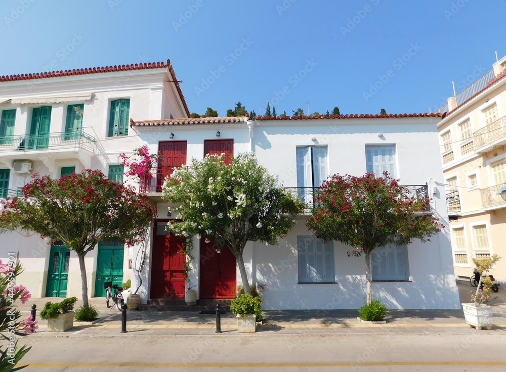 Fototapeta premium Colorful traditional houses and nerium oleander trees, on the island of Poros, in Greece