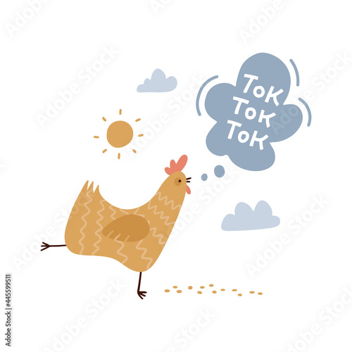 Chicken doing tok tok tok... Vector illustration in flat style on white background with lettering text.