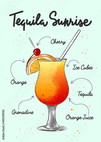 Vector engraved style Tequila Sunrise cocktail illustration for posters, decoration, logo and print. Hand drawn sketch with lettering and recipe, beverage ingredients. Detailed colorful drawing.