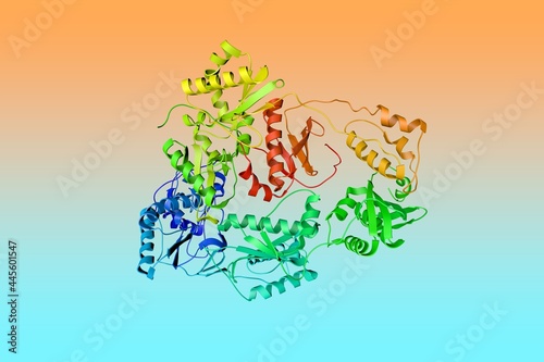 Human immunodeficiency virus type 1 transferase. Ribbons diagram in rainbow colors from N to C. Rendering based on protein data bank entry 1hqu. 3d illustration