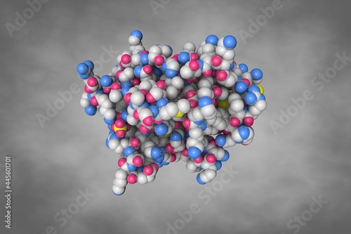 Space-filling molecular model of human granzyme H. Scientific background. 3d illustration  photo