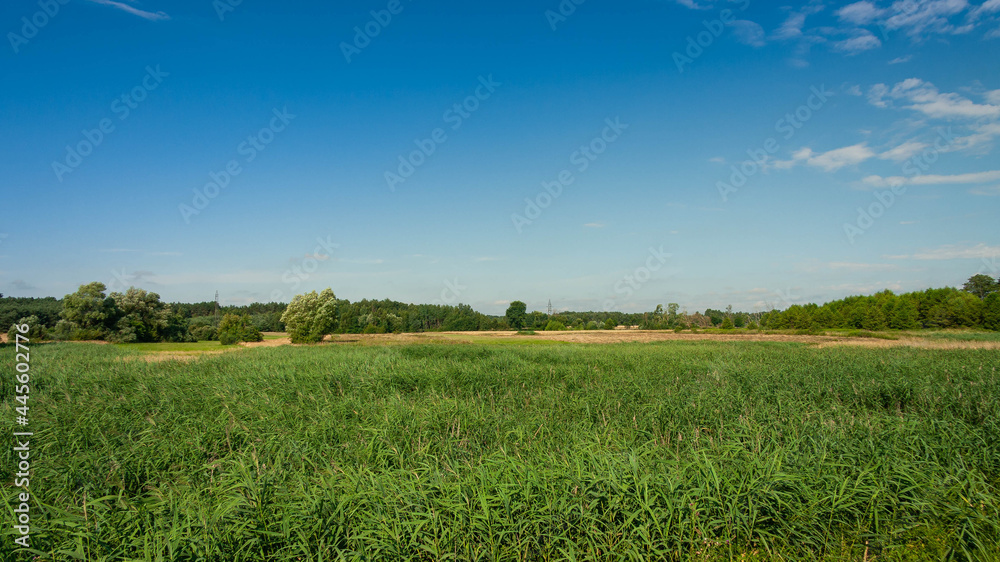 Krajobraz wiejski 